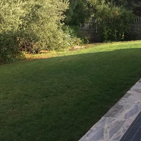 Bisu La Casa Dei Sogni *