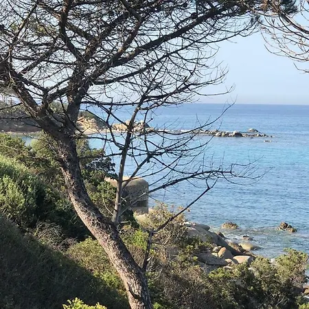 Bisu La Casa Dei Sogni Willa *