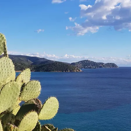 Bisu La Casa Dei Sogni