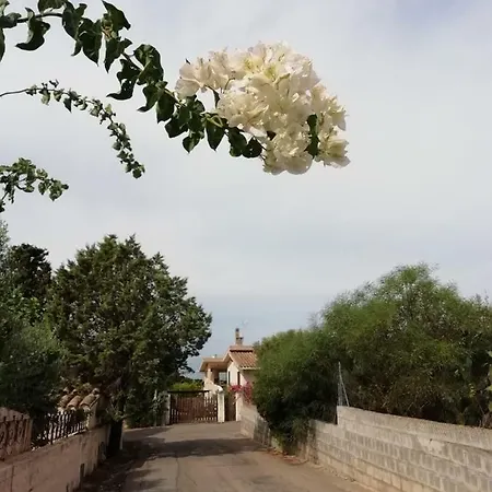 Bisu La Casa Dei Sogni Capitana
